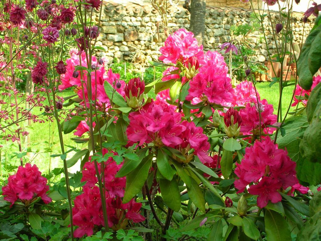 Bed and Breakfast Le Logis Du Four Soudan  Exteriér fotografie